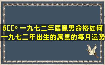 🌺 一九七二年属鼠男命格如何（一九七二年出生的属鼠的每月运势）